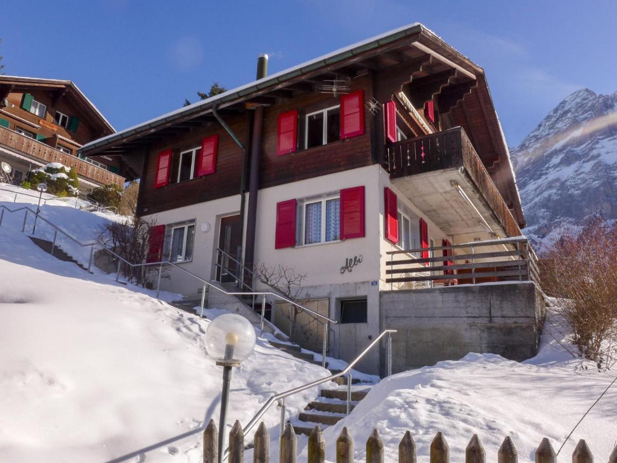 Apartment Chalet Albi Grindelwald Buitenkant foto