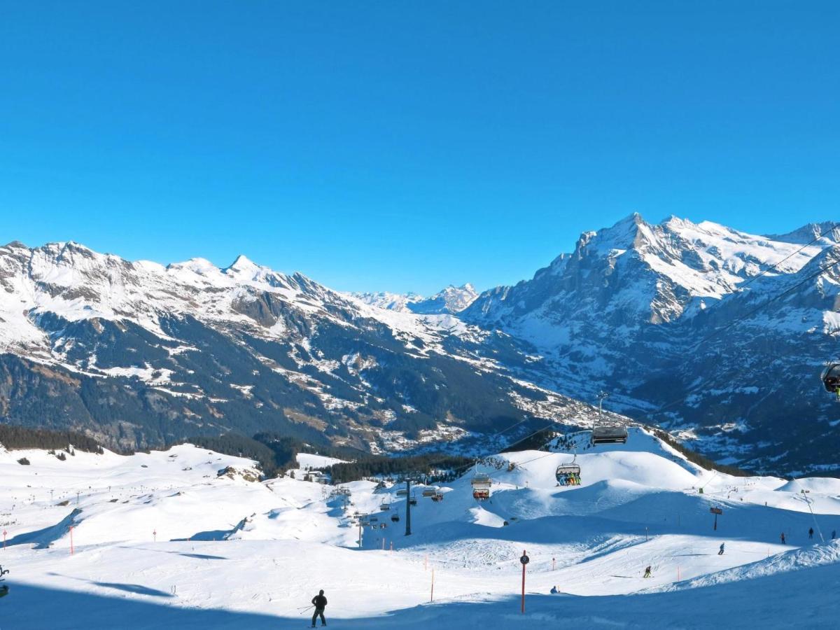 Apartment Chalet Albi Grindelwald Buitenkant foto