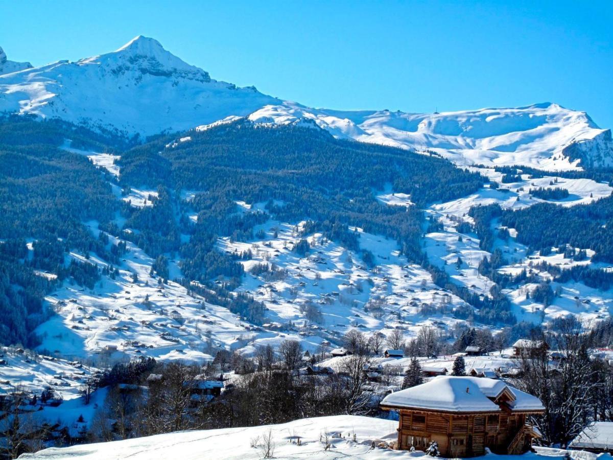 Apartment Chalet Albi Grindelwald Buitenkant foto