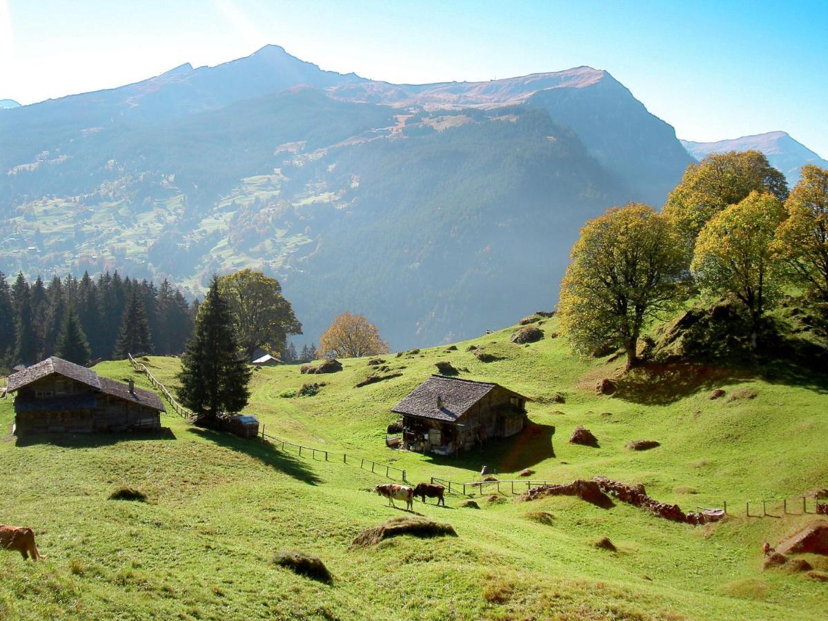 Apartment Chalet Albi Grindelwald Buitenkant foto