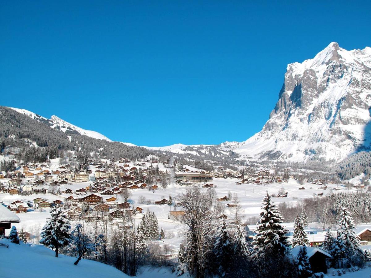 Apartment Chalet Albi Grindelwald Buitenkant foto