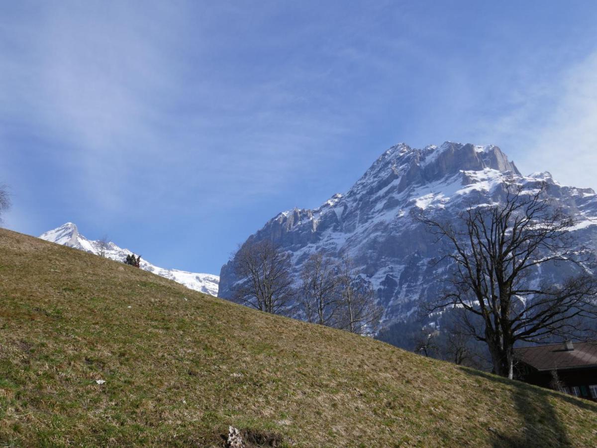 Apartment Chalet Albi Grindelwald Buitenkant foto
